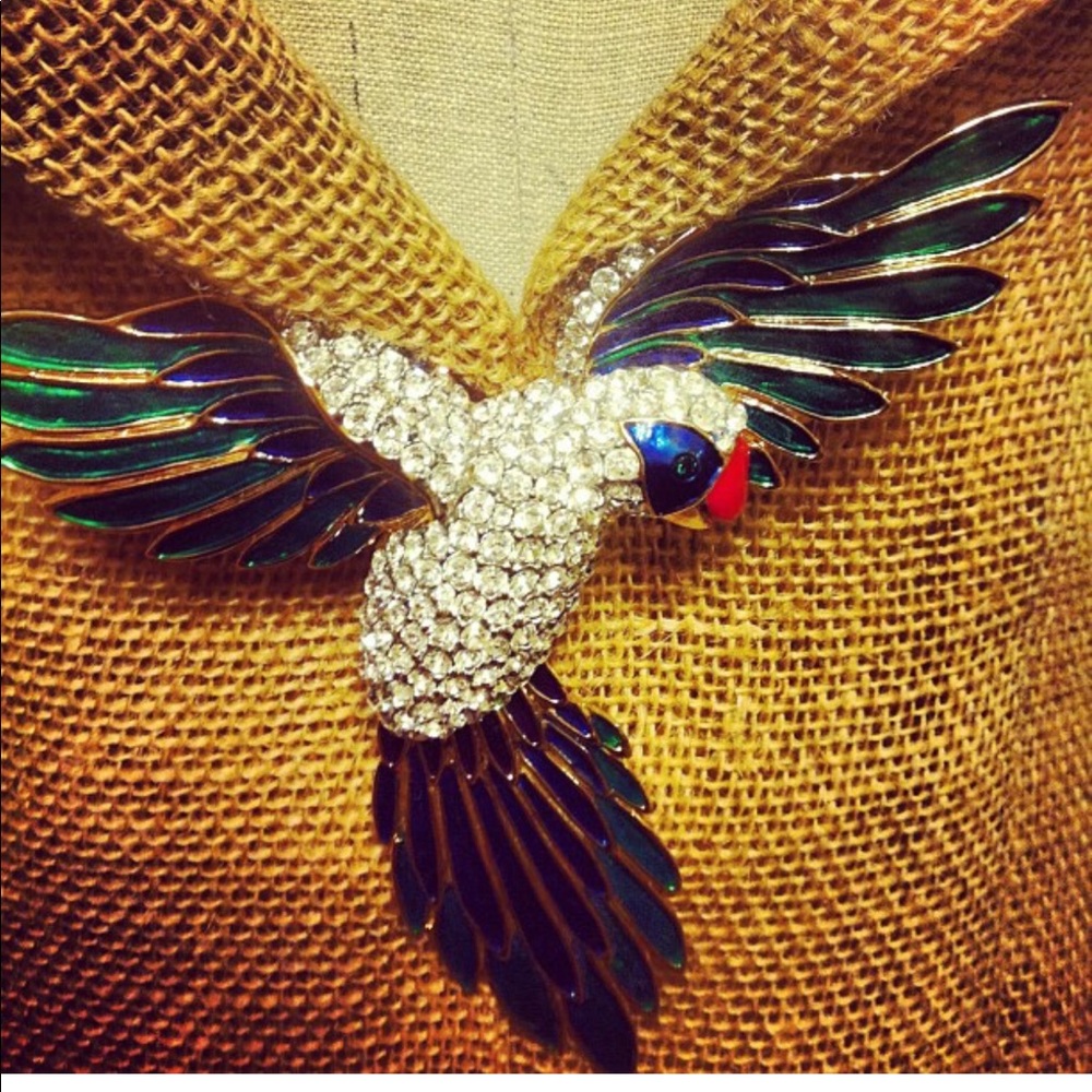 Tropical Bird Broach (1)